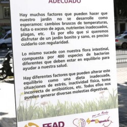 Día Mundial de la Salud Digestiva