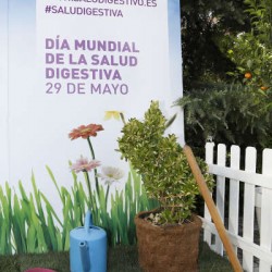 Día Mundial de la Salud Digestiva