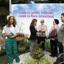 DMSD, jornadas, campaña, día, mundial, salud, digestiva