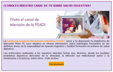 newsletter Diciembre 2018 FEAD