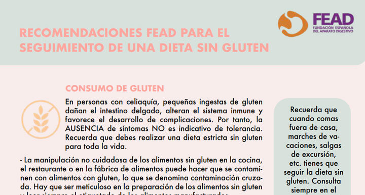 Infografías FEAD