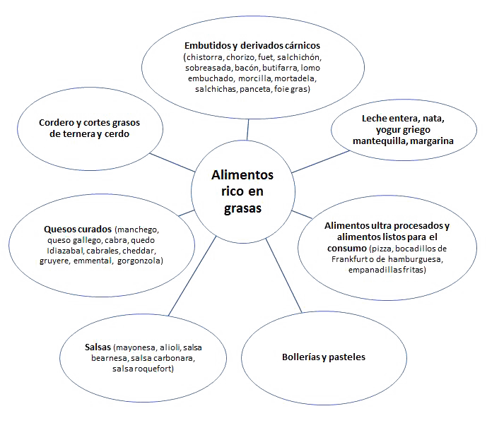 alimentos-ricos-en-grasas