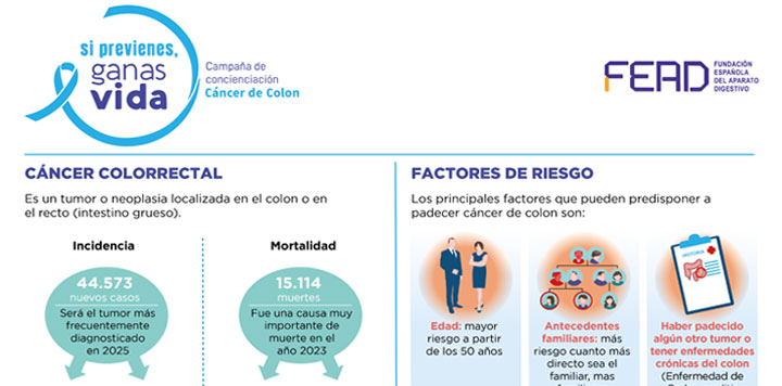 Infografías FEAD